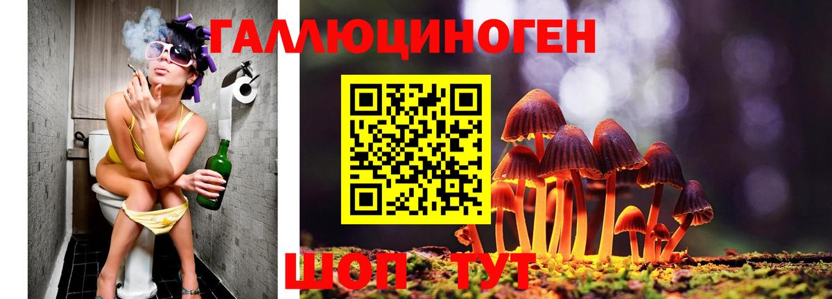 Псилоцибиновые грибы ЛСД  Вход с VPN  Братск 